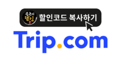 트립닷컴 11월 할인코드 핵심 요약 및 프로모션 총정리