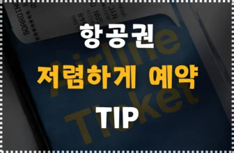 비행기표 싸게 사는법! (VPN, 시크릿 모드, 시간과 요일 TIP)