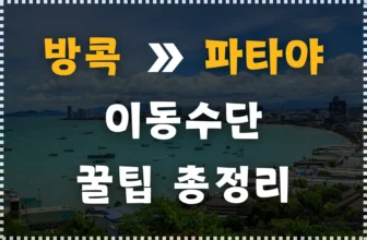 방콕에서 파타야까지 가는 방법 총 정리! (이동수단, 꿀팁)