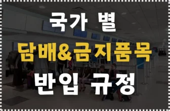 나라 별 담배 반입 규정& 반입 금지 품목