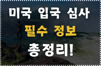 미국 입국 심사에 대한 정보