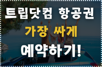 트립닷컴 항공권 가장 싸게 예약하는 방법